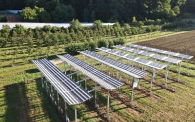 Agri-PV: Häufig gestellte Fragen