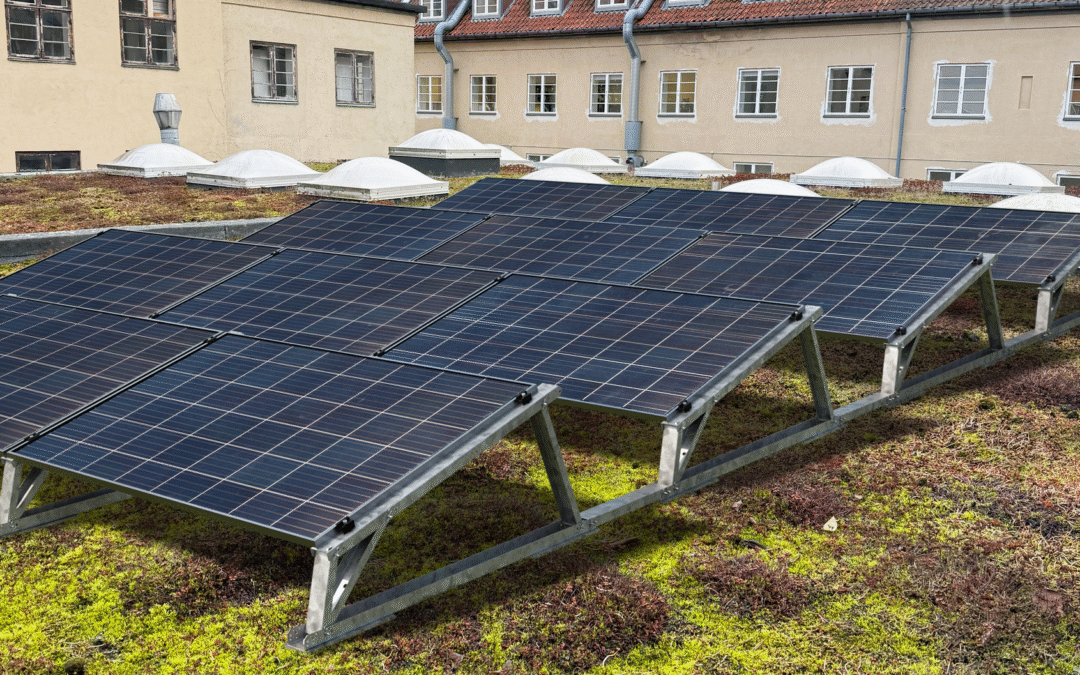 Photovoltaik auf Gründächern: Vorteile, rechtliche Vorgaben und technische Planung im Überblick