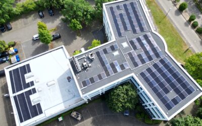 Der Strommix wird sauber: Neue IINAS-Studie zeigt Rekordwerte bei CO₂ und Primärenergieeinsatz