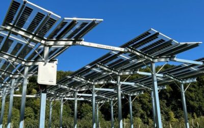 Agri-PV in cost comparison: Statement of the Association for Sustainable Agri-PV (VnAP) e.V.